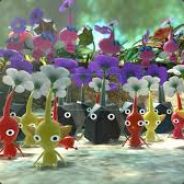 olimar777