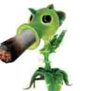 jr-