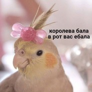 Анал не предлагать, не откажусь