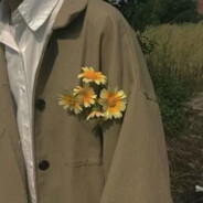 花花公子