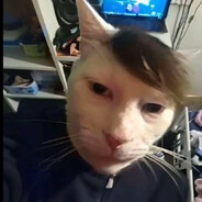 valerik