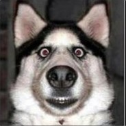 dog_man