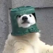KlumsyKuma