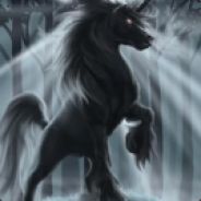 Koniu15