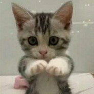 miuw