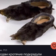 ЯША ЛАВА