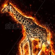 awesome__fame