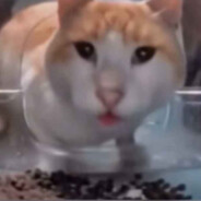 Jakub