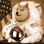 dogestronaut