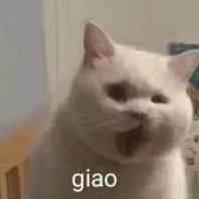 小阿giao