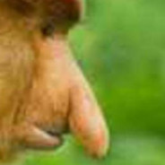 monke moment