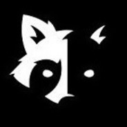 Racoon