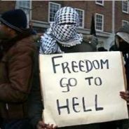 Jeevacations@gmail.com's avatar