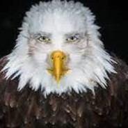 Marvin Beak