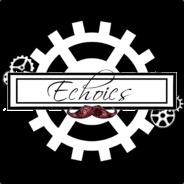 Echo