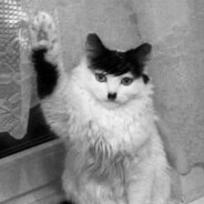 Kitler