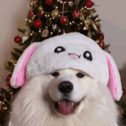 ske8ter