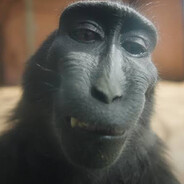 monkeman
