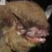 GWEEEEEP