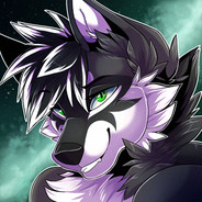 Blitz Wolf
