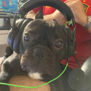 FredBoyBr