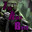 Group Avatar