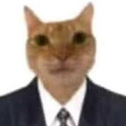 gato empresario