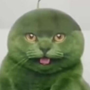 Kooshmelon