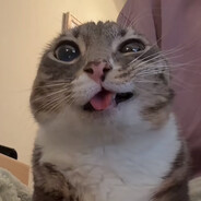 RainbowApe36