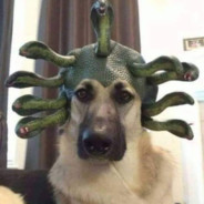 Avatar de 1granbenito1