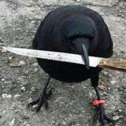 cioaramen