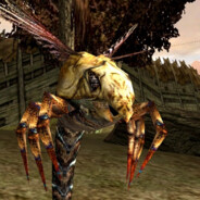 Bug