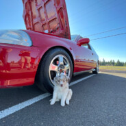 Em1Vtec