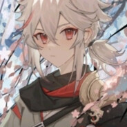 王木木