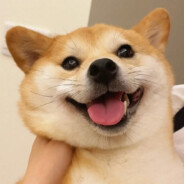 (●'◡'●)