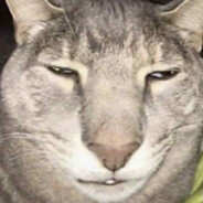 *******