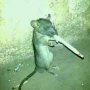 Sensei Splinter
