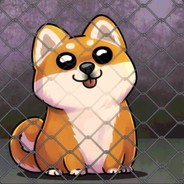 Shibo