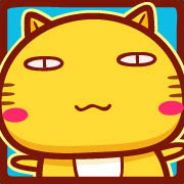 狸花猫
