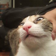 Winking_Hobo_Anus