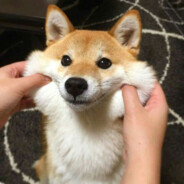 woof