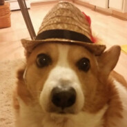 alo