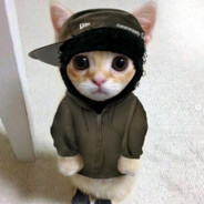 mxrwxn牛