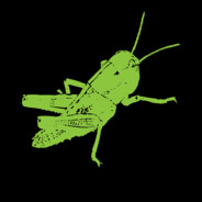 Grasshoper