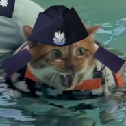 NIEWIAR