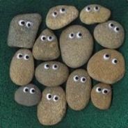 mattshood
