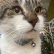 beeski