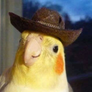 CowboyBirb