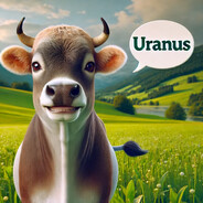 Skug Cow