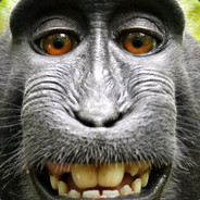 JoKo